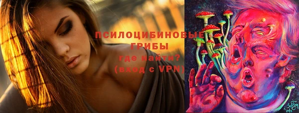 ПСИЛОЦИБИНОВЫЕ ГРИБЫ Абинск